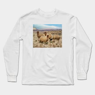 Israel, Mitzpe Ramon. Sheep at Ramon Crater Long Sleeve T-Shirt